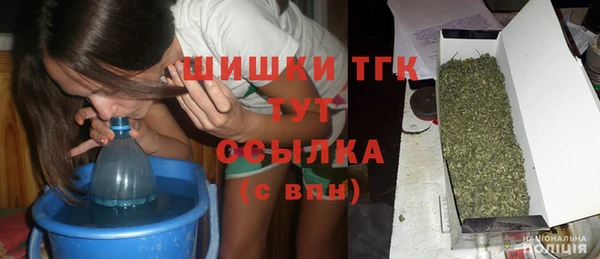 jwh Ельня