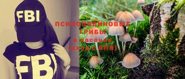 прущая мука Елизово