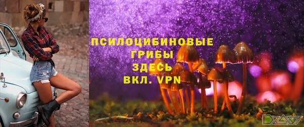прущая мука Елизово