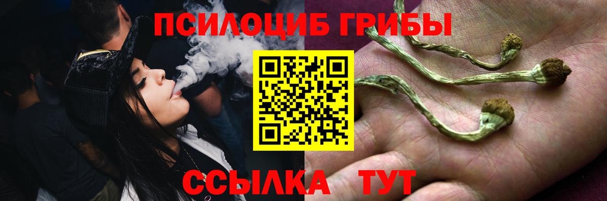 Галлюциногенные грибы ЛСД Юрга